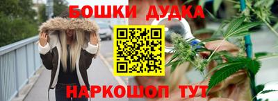 крисы Лесосибирск
