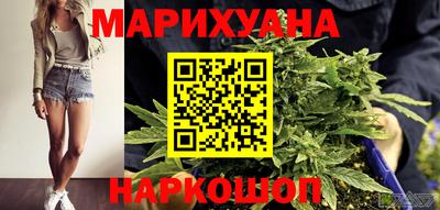 крисы Лесосибирск