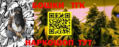 крисы Лесосибирск