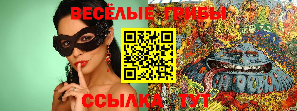 Галлюциногенные грибы мухоморы Будённовск