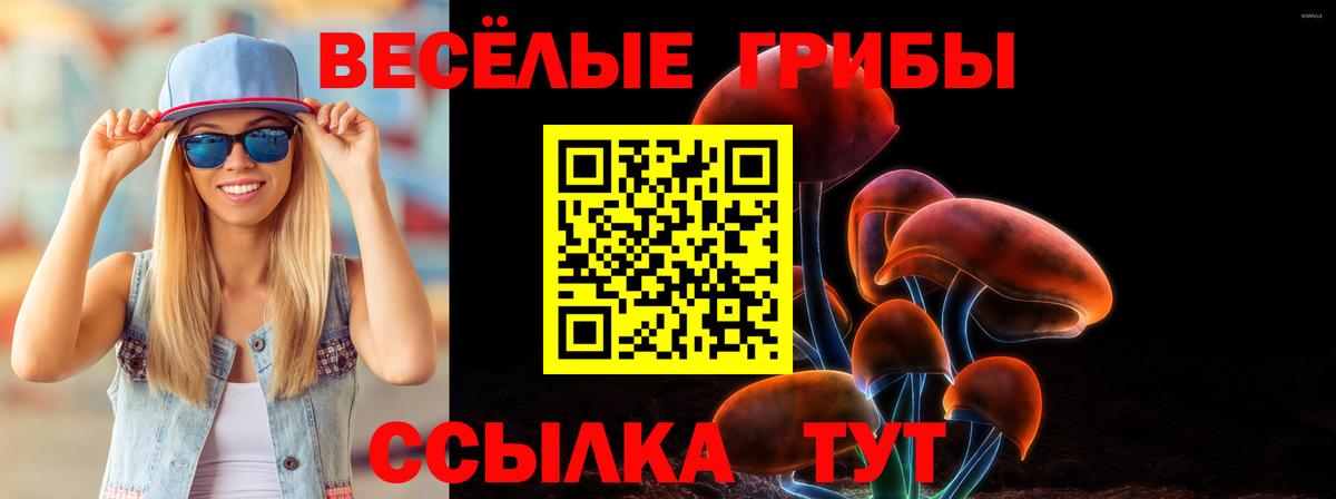 Галлюциногенные грибы Psilocybine cubensis  где купить наркоту  Будённовск  Вход с VPN 